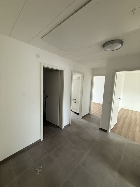 Sanierte Wohnung in Umkirch  - bezugsfrei!